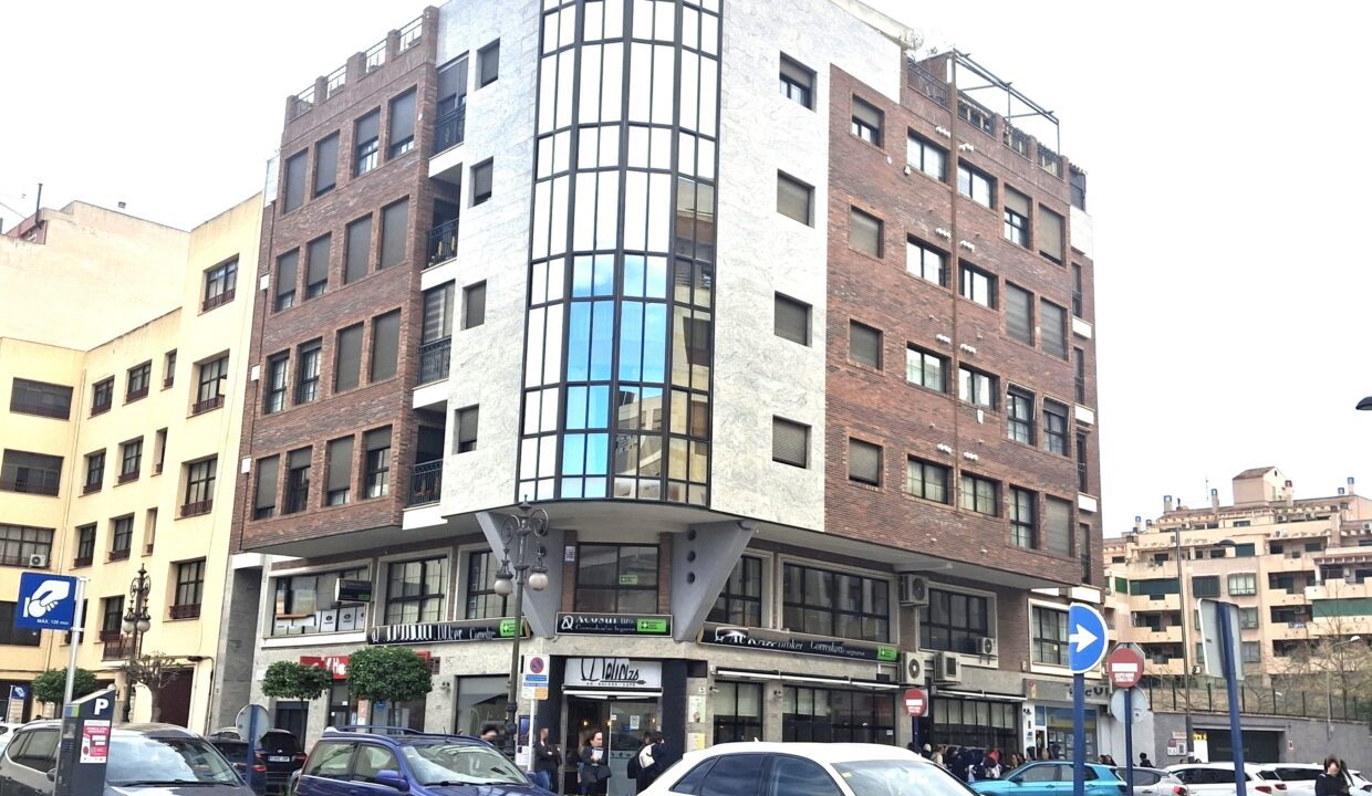 P faca 20260213_150546