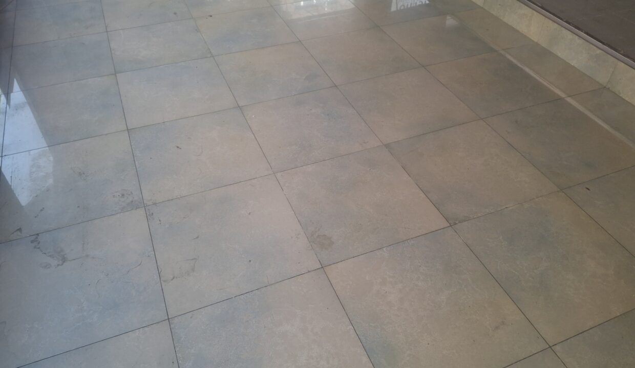 suelo 20260113_150326