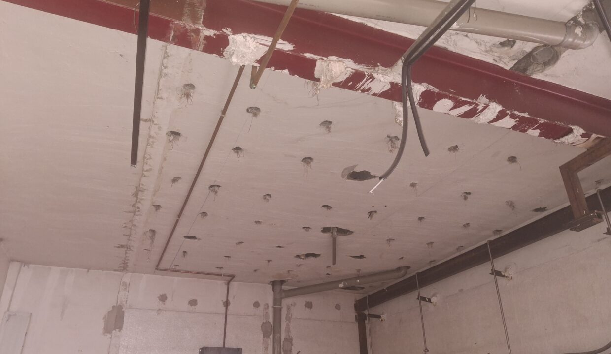 techo zona almacen 20260113_150252