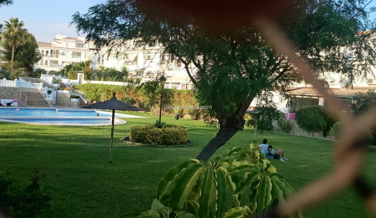 pisci2